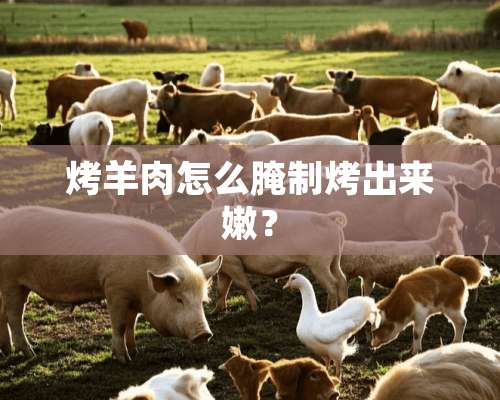 烤羊肉怎么腌制烤出来嫩？