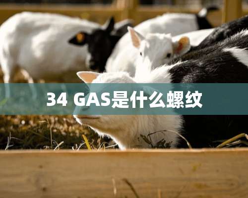 34 GAS是什么螺纹