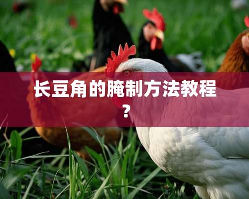 长豆角的腌制方法教程？