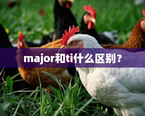 major和ti什么区别？