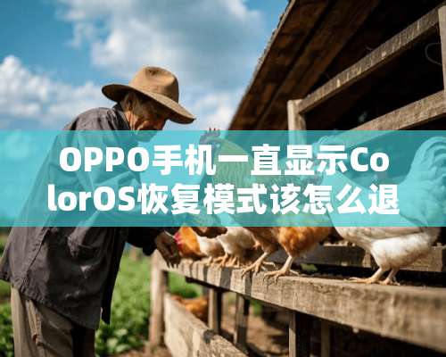 OPPO手机一直显示ColorOS恢复模式该怎么退出？