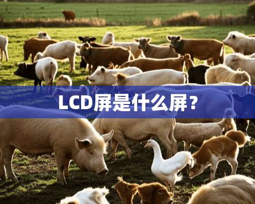 LCD屏是什么屏？