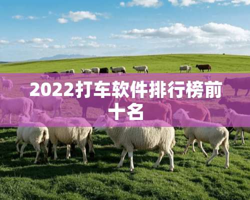 2022打车软件排行榜前十名