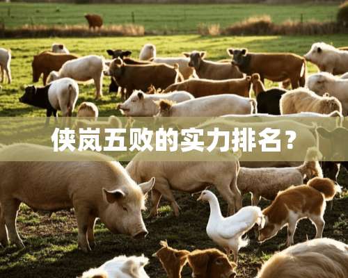 侠岚五败的实力排名？