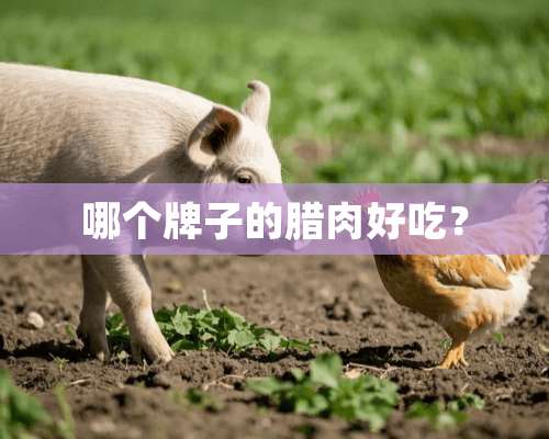 哪个牌子的腊肉好吃？