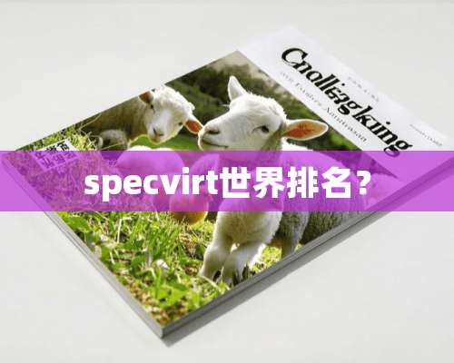 specvirt世界排名？