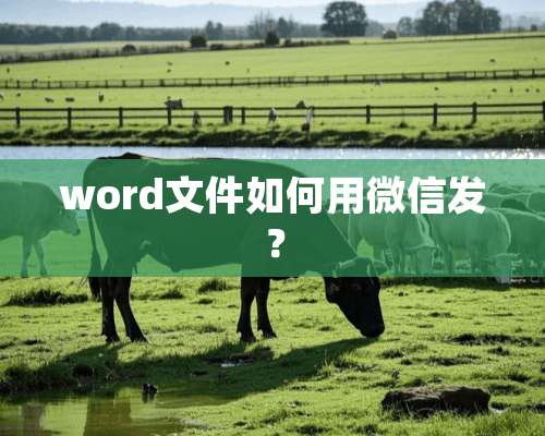 word文件如何用微信发？