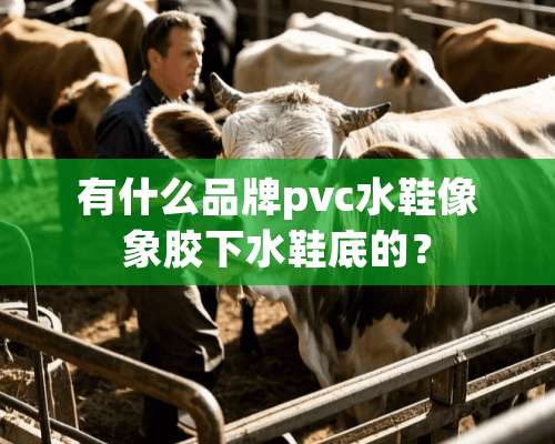 有什么品牌pvc水鞋像象胶下水鞋底的？