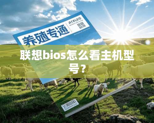 联想bios怎么看主机型号？