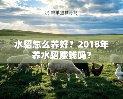 水貂怎么养好？2018年养水貂赚钱吗？