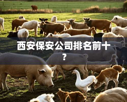 西安保安公司排名前十？