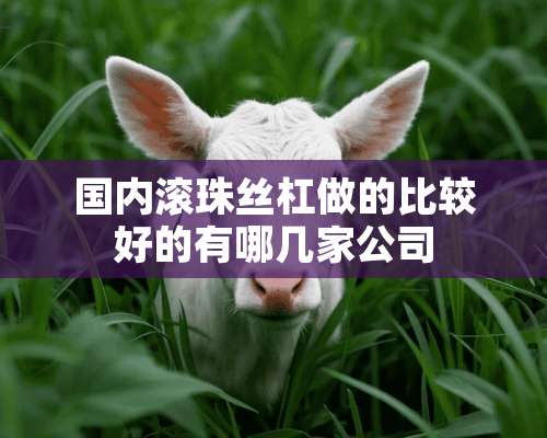 国内滚珠丝杠做的比较好的有哪几家公司