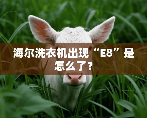 海尔洗衣机出现“E8”是怎么了？