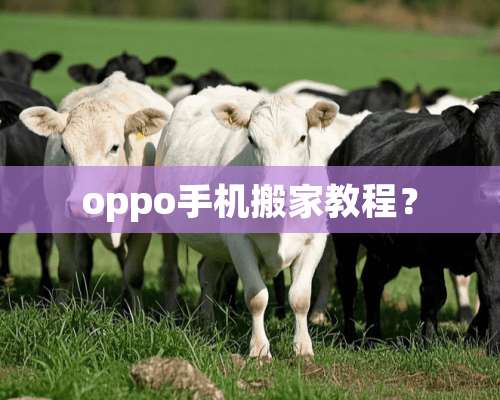 oppo手机搬家教程？