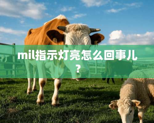 mil指示灯亮怎么回事儿？