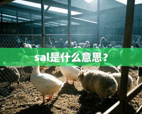 sal是什么意思？