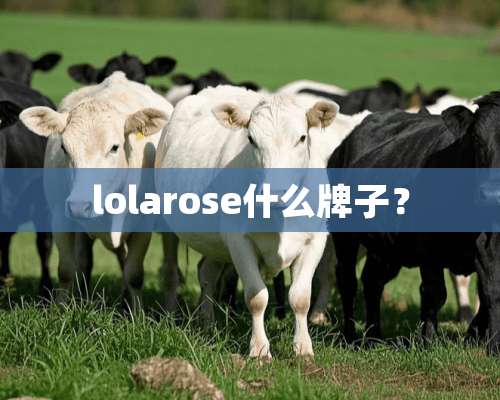 lolarose什么牌子？