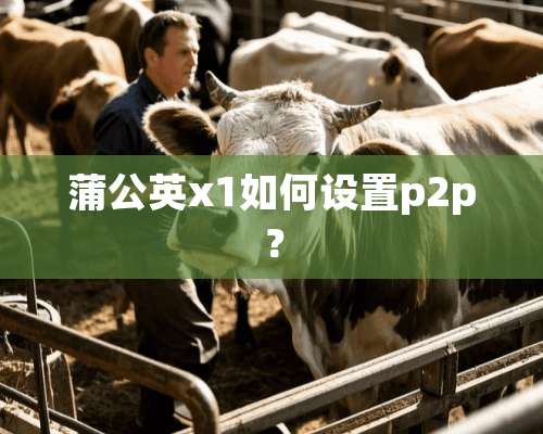 蒲公英x1如何设置p2p？