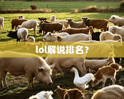 lol解说排名？