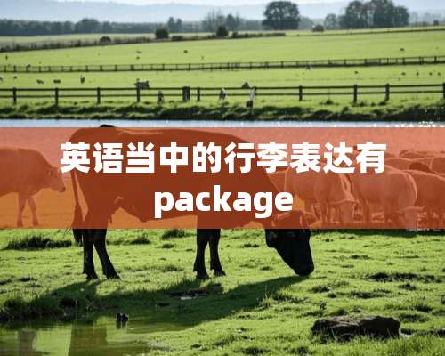 英语当中的行李表达有package