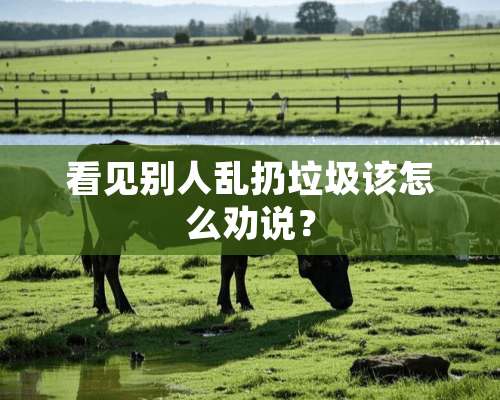 看见别人乱扔垃圾该怎么劝说？