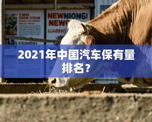 2021年中国汽车保有量排名？