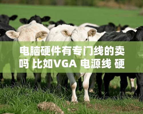 电脑硬件有专门线的卖吗 比如VGA 电源线 硬盘线等等 要时尚 精致