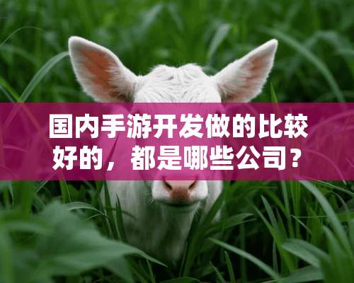 国内手游开发做的比较好的，都是哪些公司？