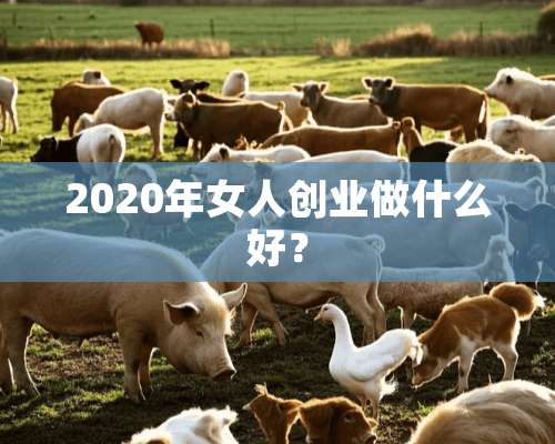 2020年女人创业做什么好？