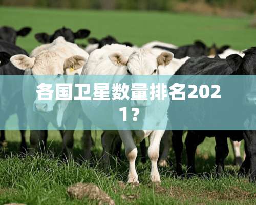 各国卫星数量排名2021？