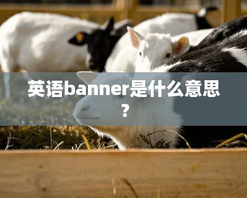 英语banner是什么意思？