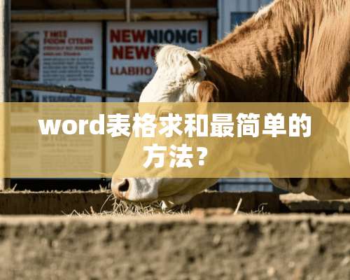 word表格求和最简单的方法？