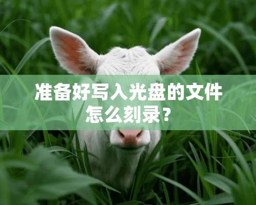 准备好写入光盘的文件怎么刻录？