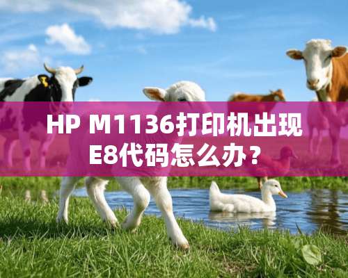 HP M1136打印机出现E8代码怎么办？