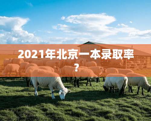 2021年北京一本录取率？