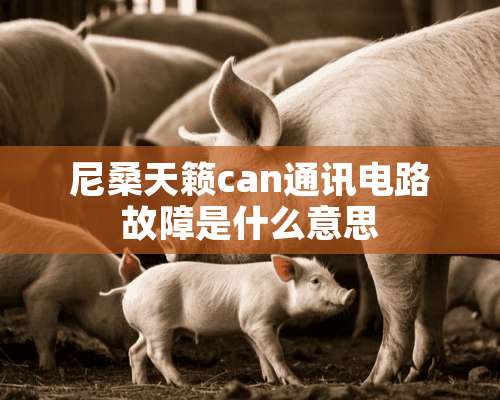 尼桑天籁can通讯电路故障是什么意思