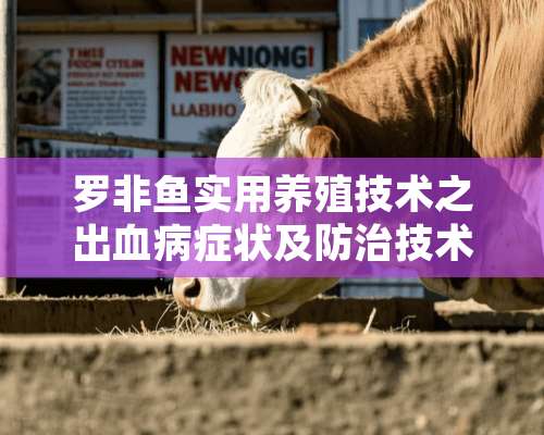 罗非鱼实用养殖技术之出血病症状及防治技术