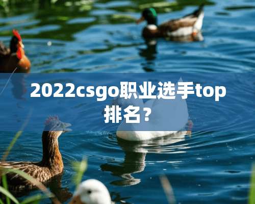 2022csgo职业选手top排名？