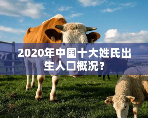 2020年中国十大姓氏出生人口概况？