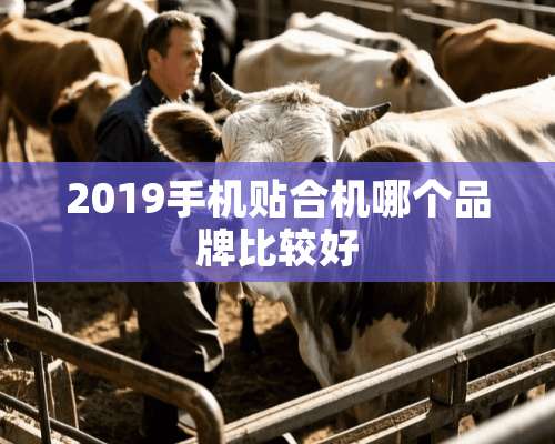 2019手机贴合机哪个品牌比较好