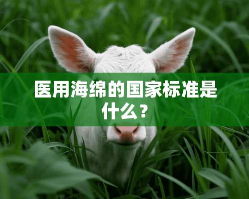 医用海绵的国家标准是什么？