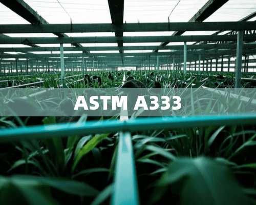 ASTM A333