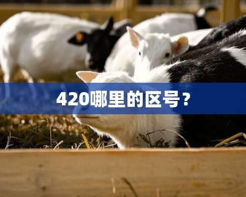 420哪里的区号？