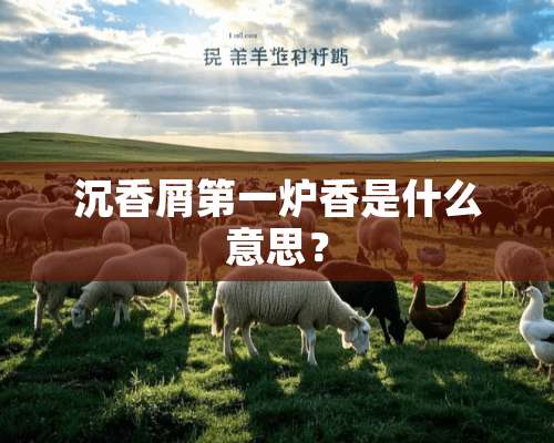 沉香屑第一炉香是什么意思？