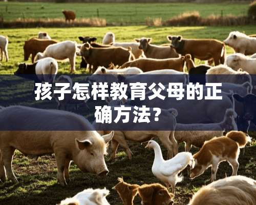 孩子怎样教育父母的正确方法？