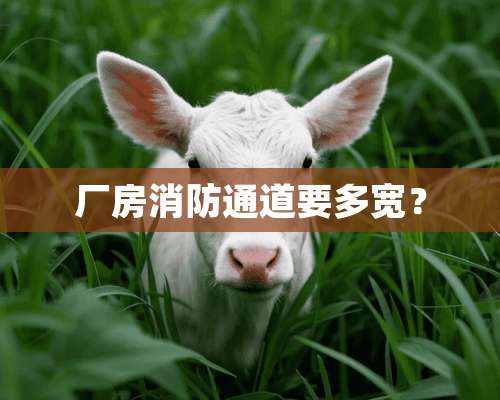 厂房消防通道要多宽？