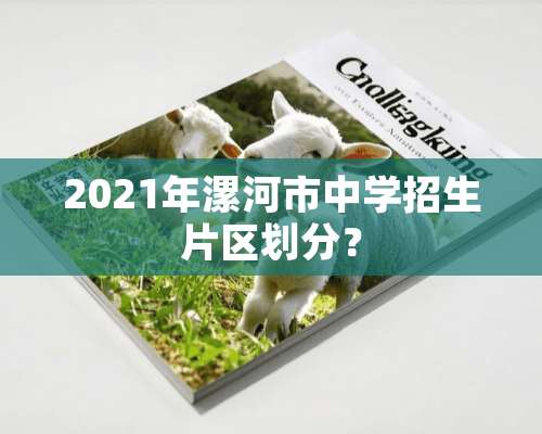 2021年漯河市中学招生片区划分？