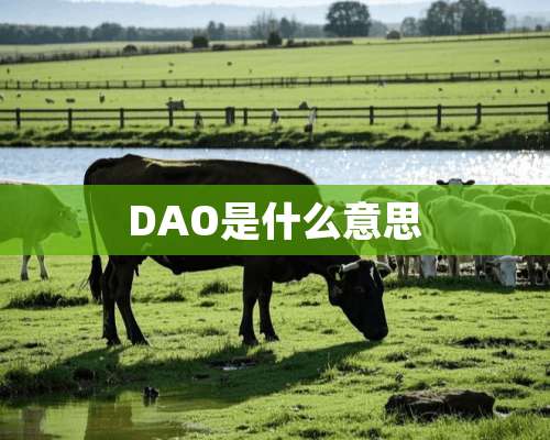 DAO是什么意思