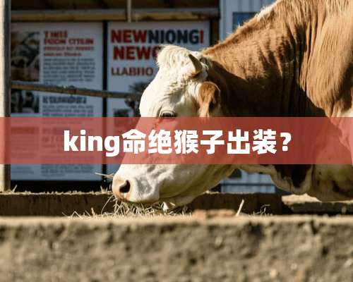 king命绝猴子出装？