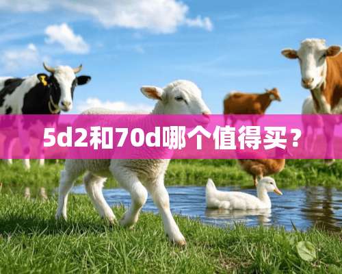 5d2和70d哪个值得买？